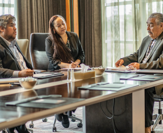 3 people in a boardroom meeting