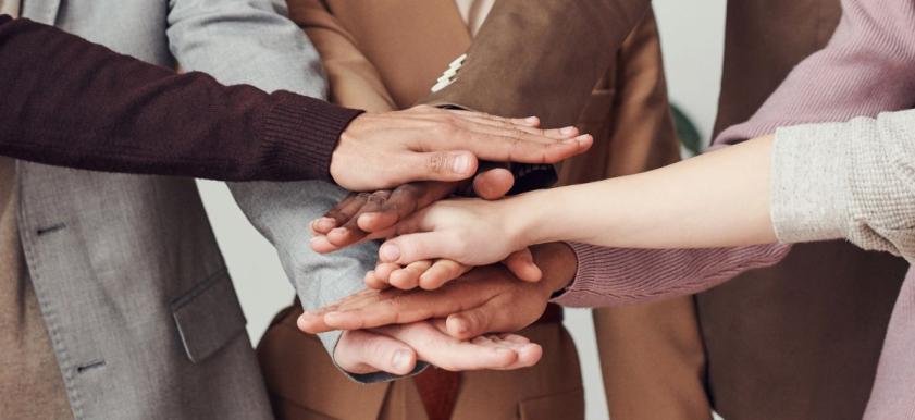 diverse professionals hands