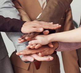diverse professionals hands